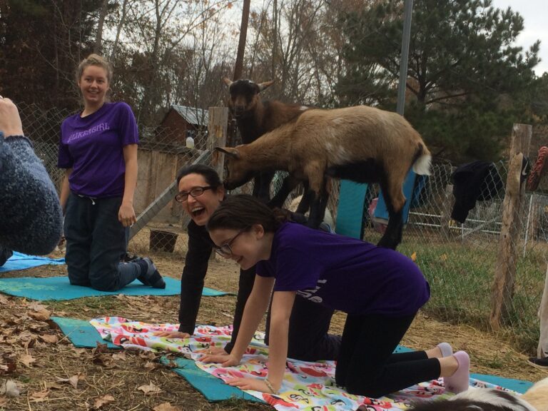 Durham family farm offers goat yoga